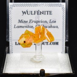 Wulfenite - Erupcion Mine, Los Lamentos, Mexico
