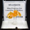Wulfénite - Mine Erupcion, Los Lamentos, Mexique