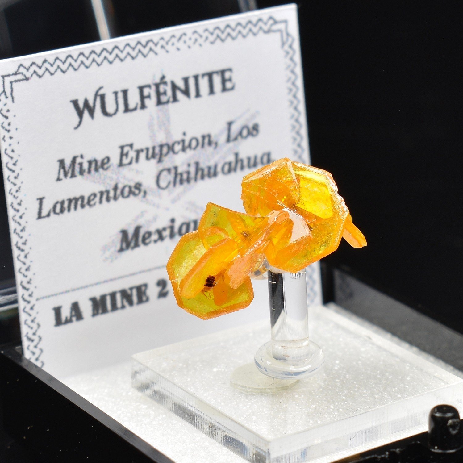 Wulfénite - Mine Erupcion, Los Lamentos, Mexique