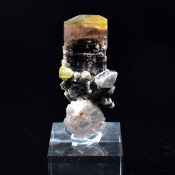 Tourmaline, quartz, and lepidolite - Stak Nala, Gilgit-Baltistan, Pakistan