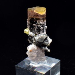 Tourmaline, quartz, and lepidolite - Stak Nala, Gilgit-Baltistan, Pakistan