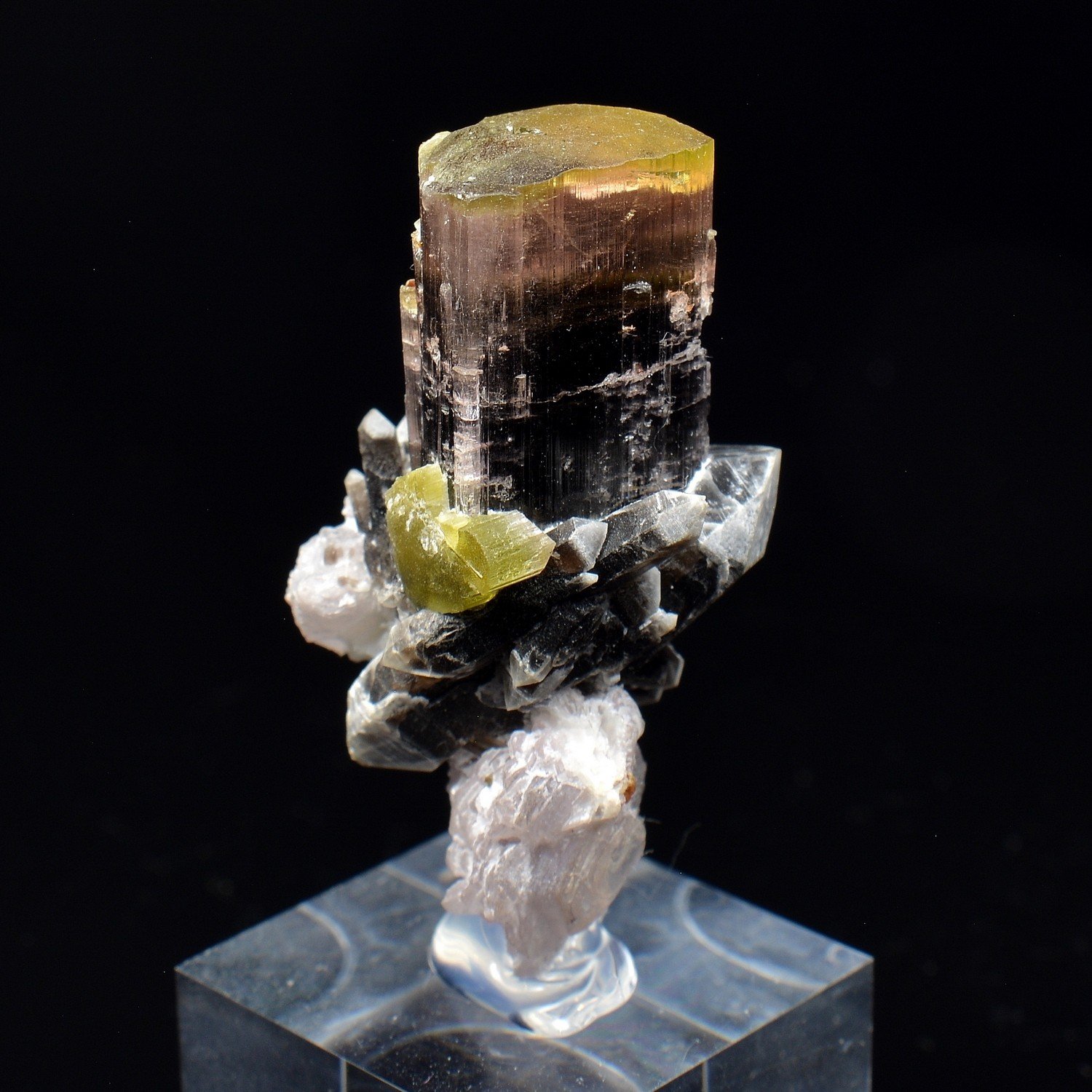 Tourmaline, quartz, and lepidolite - Stak Nala, Gilgit-Baltistan, Pakistan