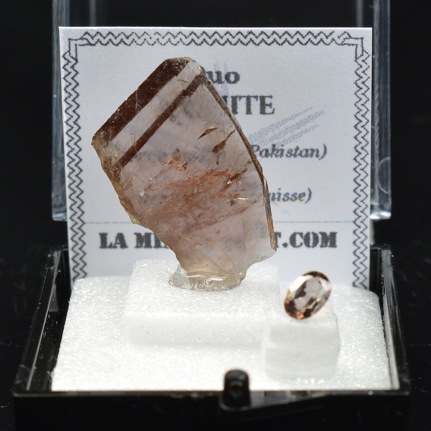 AXINITE - DUO Cut Stone and Crystallized Stone