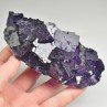 Fluorite - Musquiz, Coahuila, Mexico