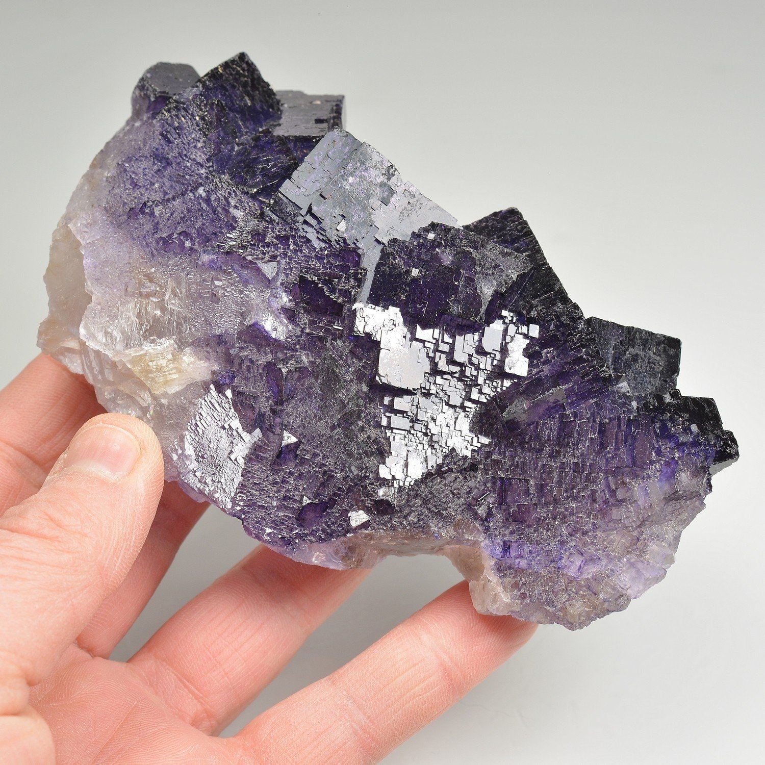 Fluorite - Musquiz, Coahuila, Mexico Fluorite - Musquiz, Coahuila, Mexico