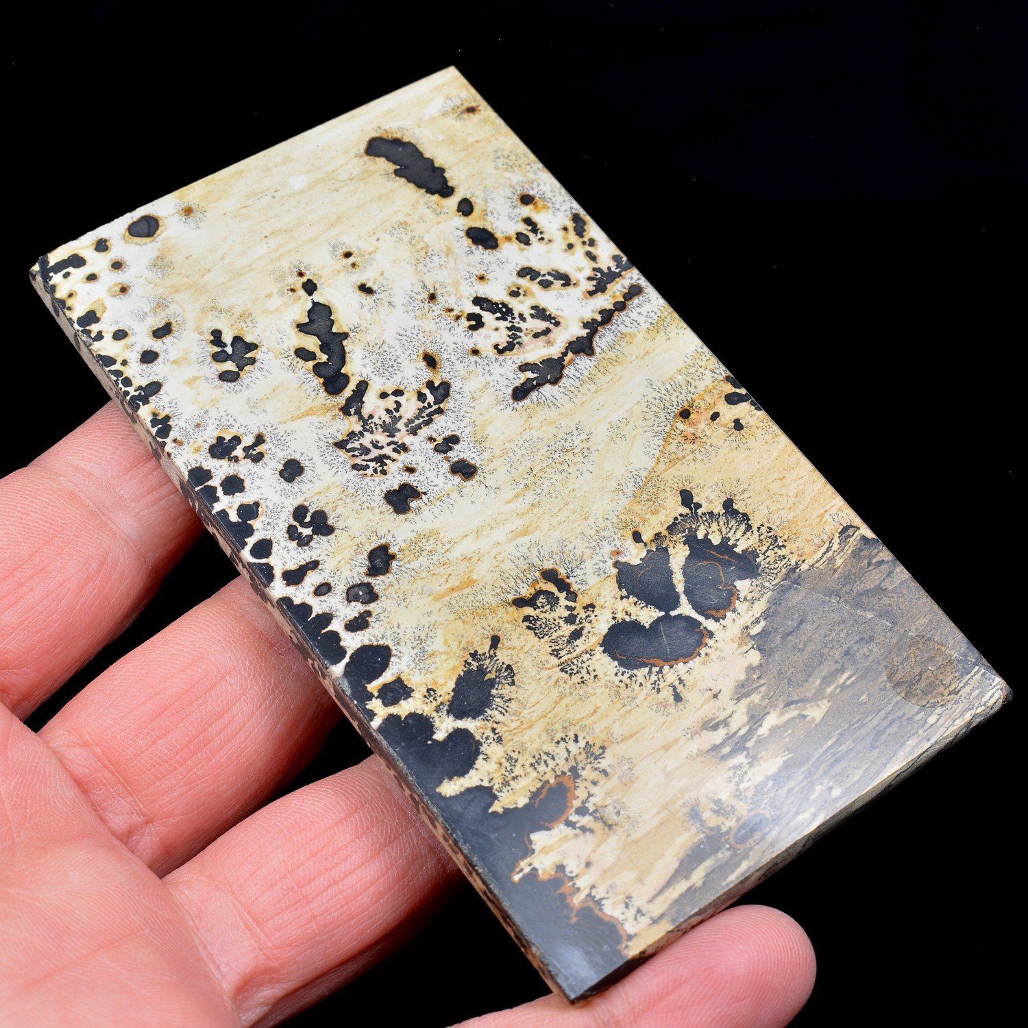 Picture stone - Guangxi province, China