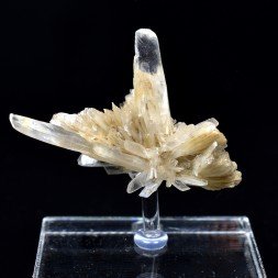 Gypse - Angervilliers, Essonne, France