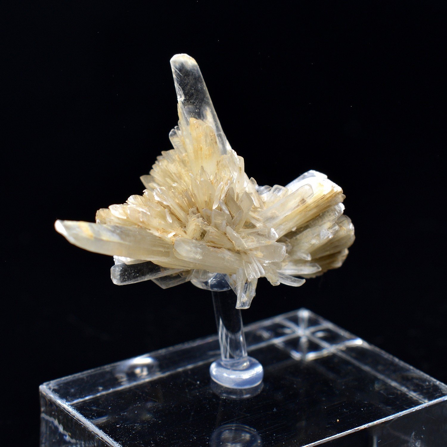 Gypse - Angervilliers, Essonne, France