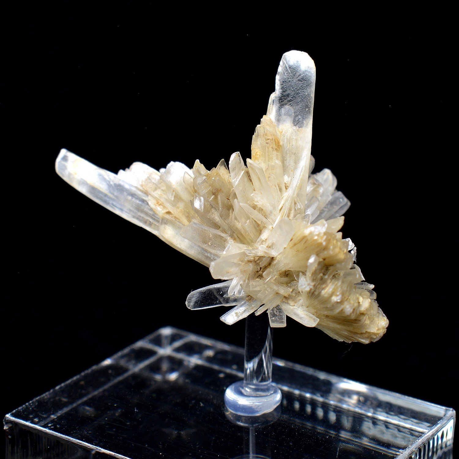 Gypsum - Angervilliers, Essonne, France