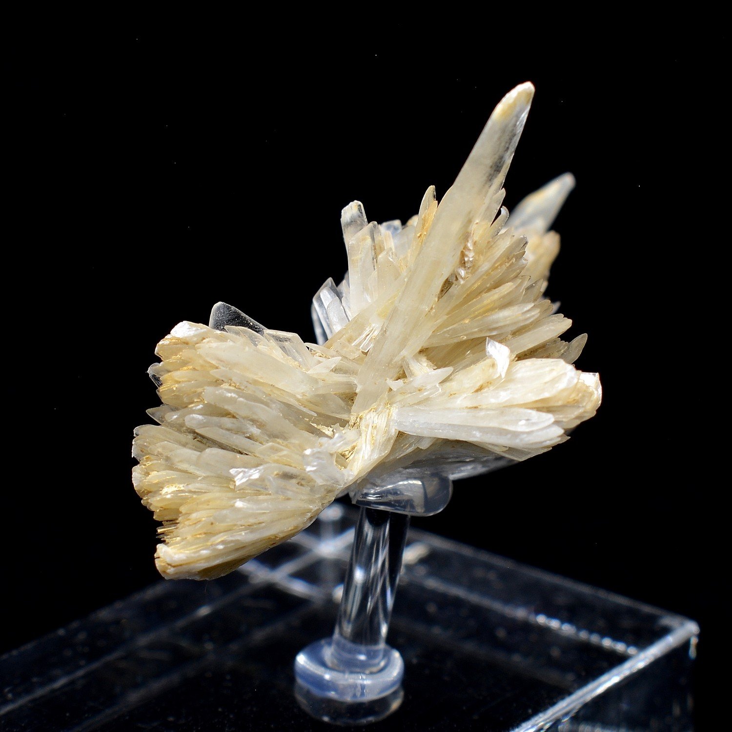 Gypsum - Angervilliers, Essonne, France