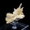 Gypsum - Angervilliers, Essonne, France