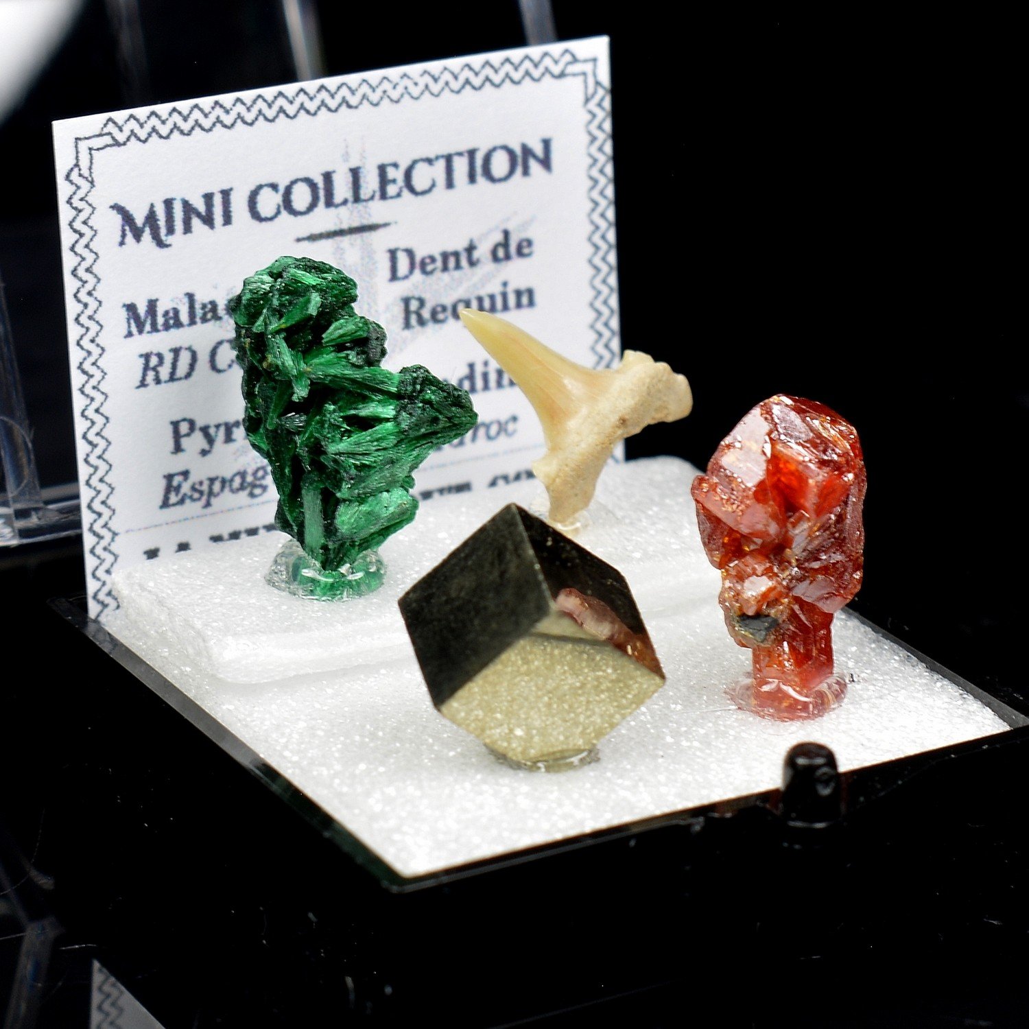 Mini Collection - Minerals of the World
