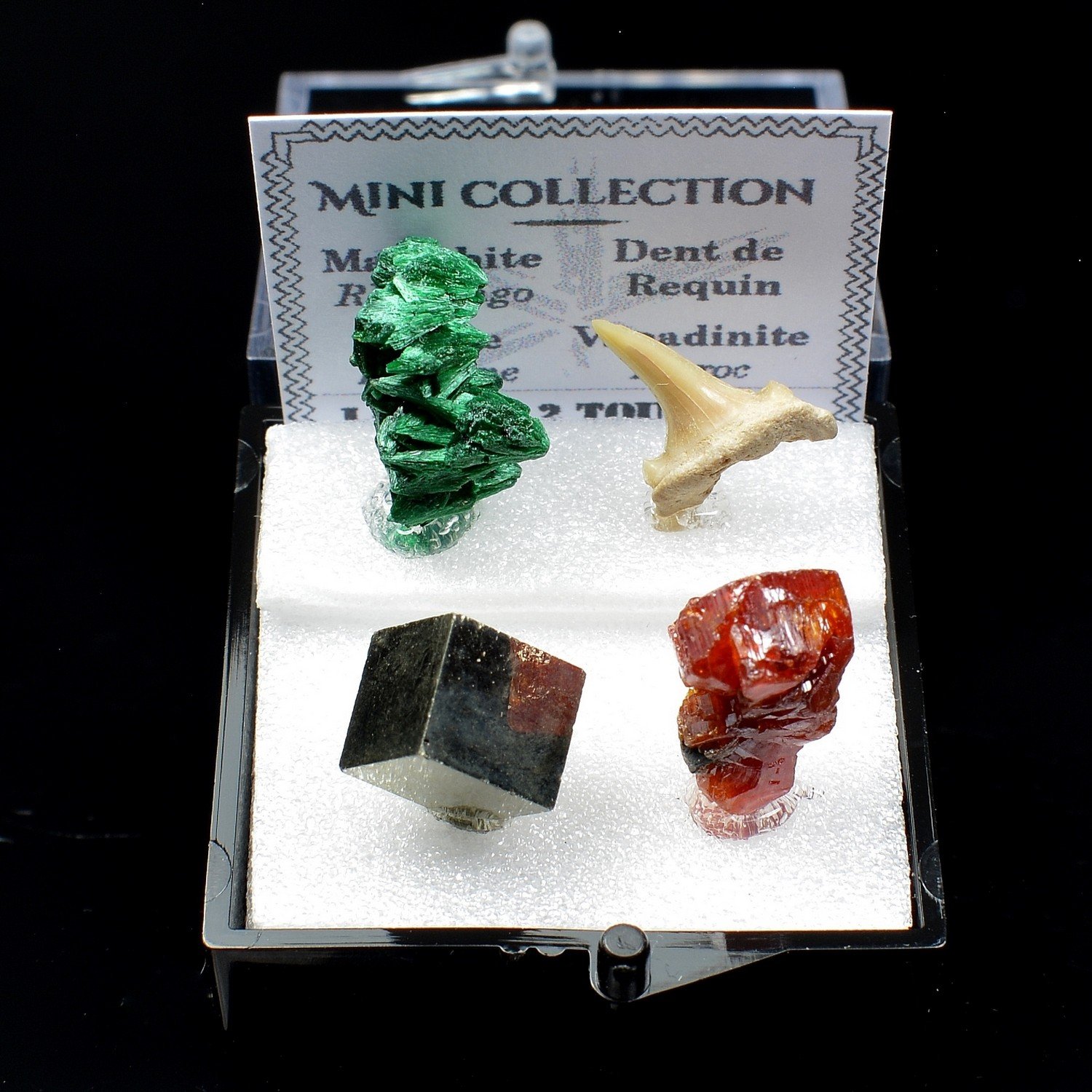 Mini Collection - Minerals of the World