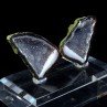 Quartz Geode - Tabasco, State of Zacatecas, Mexico