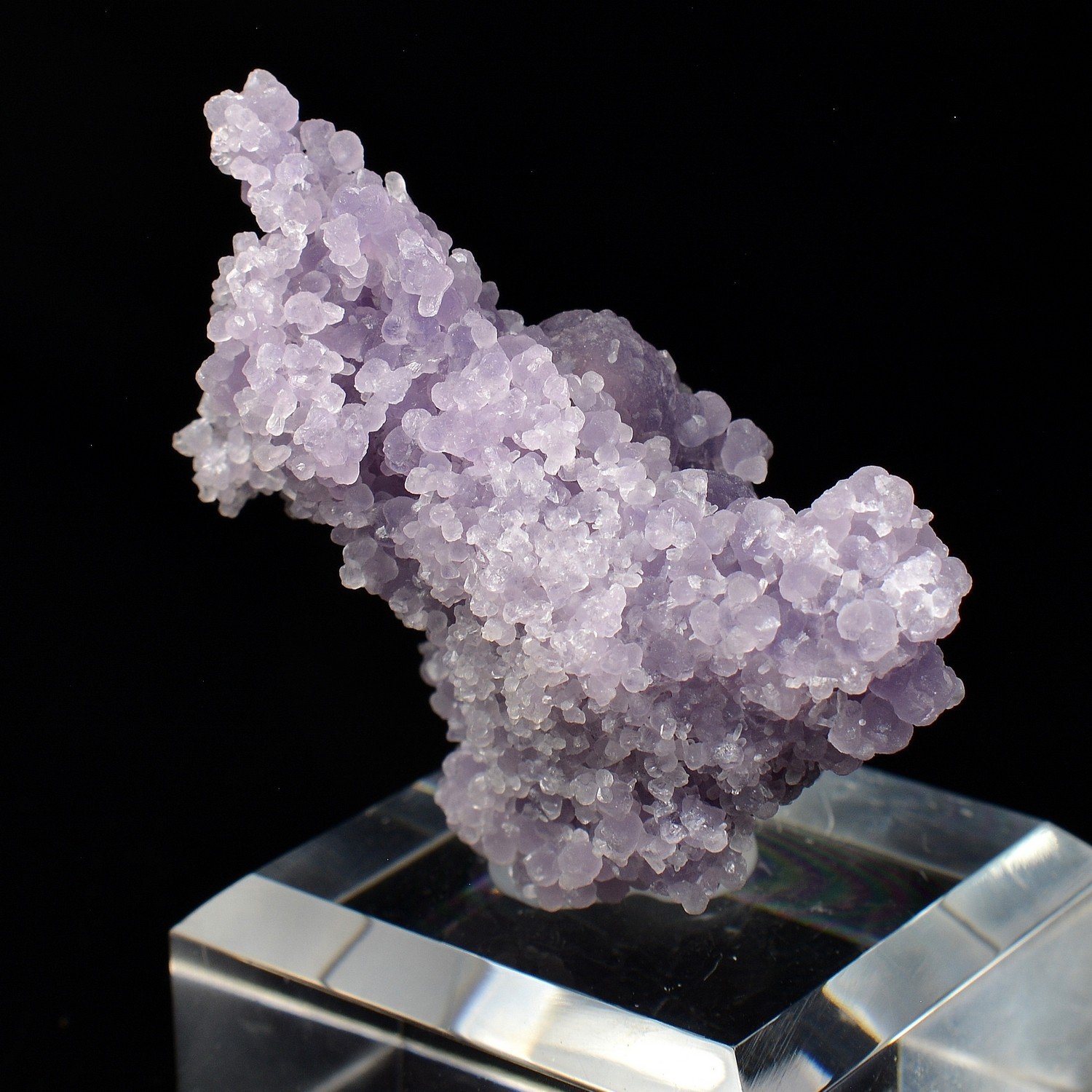 Agate grape - Mamuju, Sulawesi, Indonesia