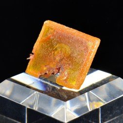 Wulfenite - Erupcion Mine, Los Lamentos, Mexico