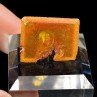 Wulfenite - Erupcion Mine, Los Lamentos, Mexico