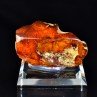 Amber - Chevrières, Oise, France