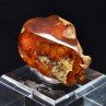 Amber - Chevrières, Oise, France