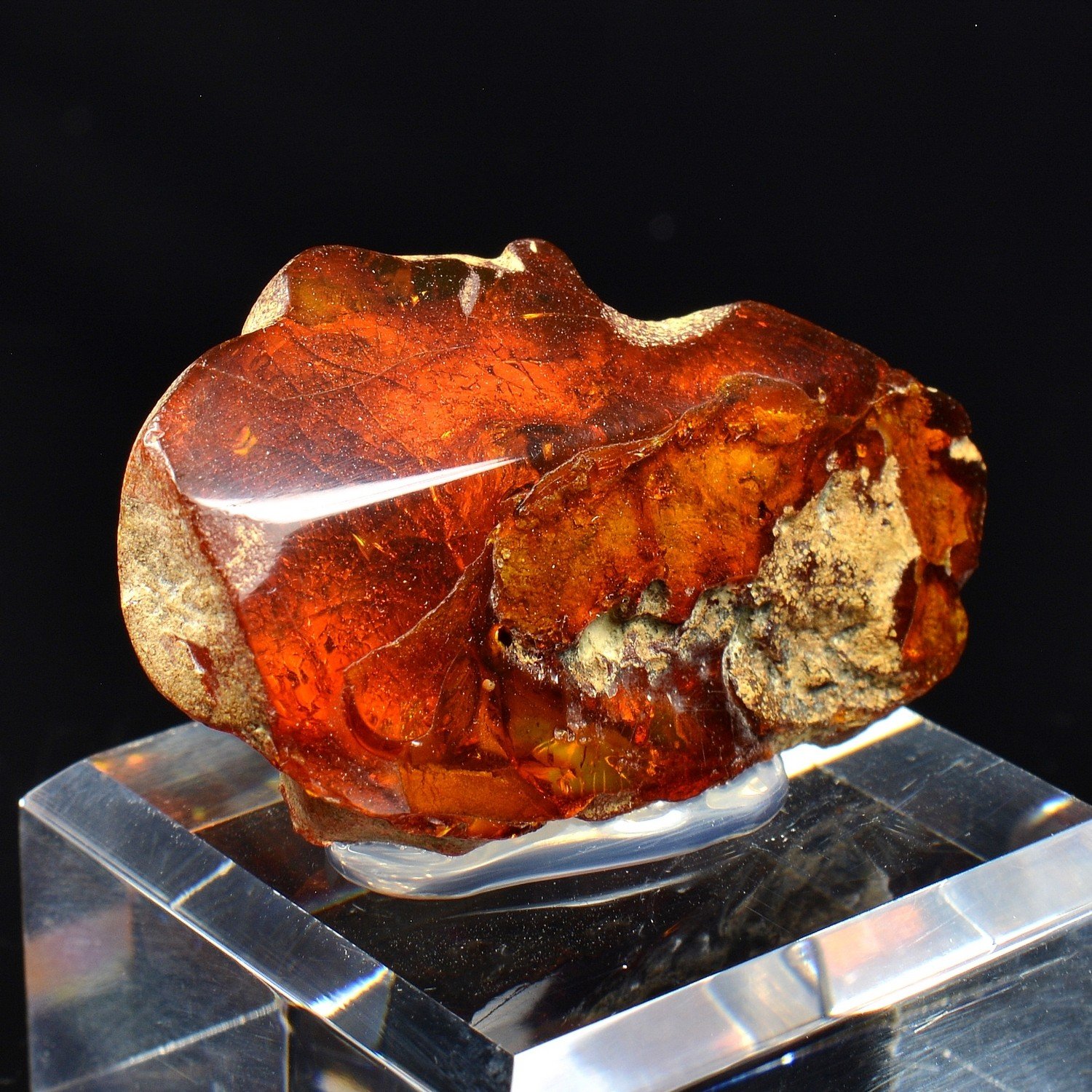 Ambre - Chevrières, Oise, France