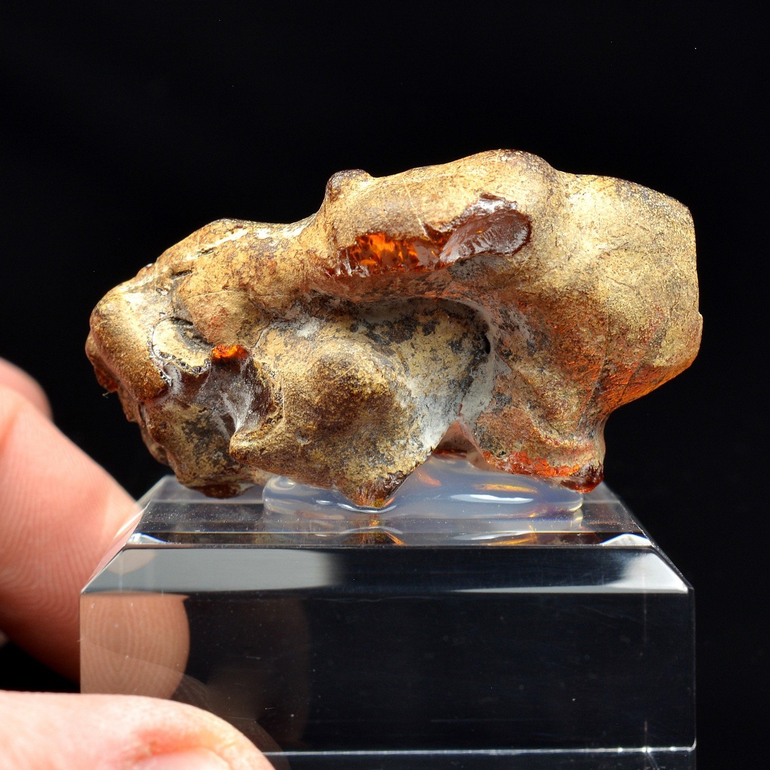Amber - Chevrières, Oise, France