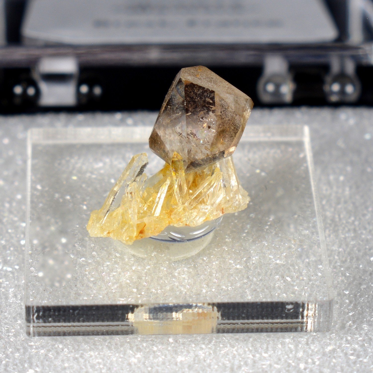 Quartz - Rade de Brest, Finsitère, France