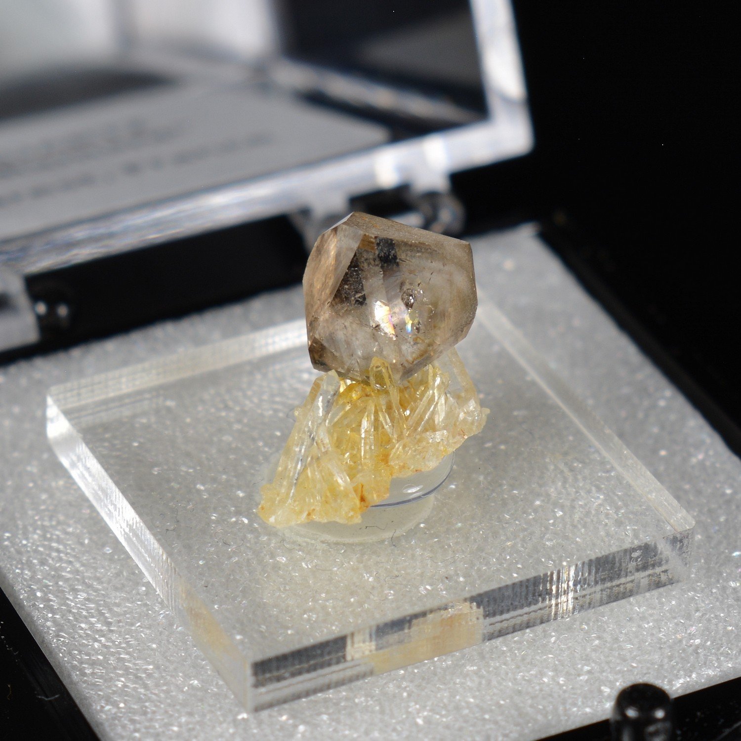 Quartz - Rade de Brest, Finsitère, France