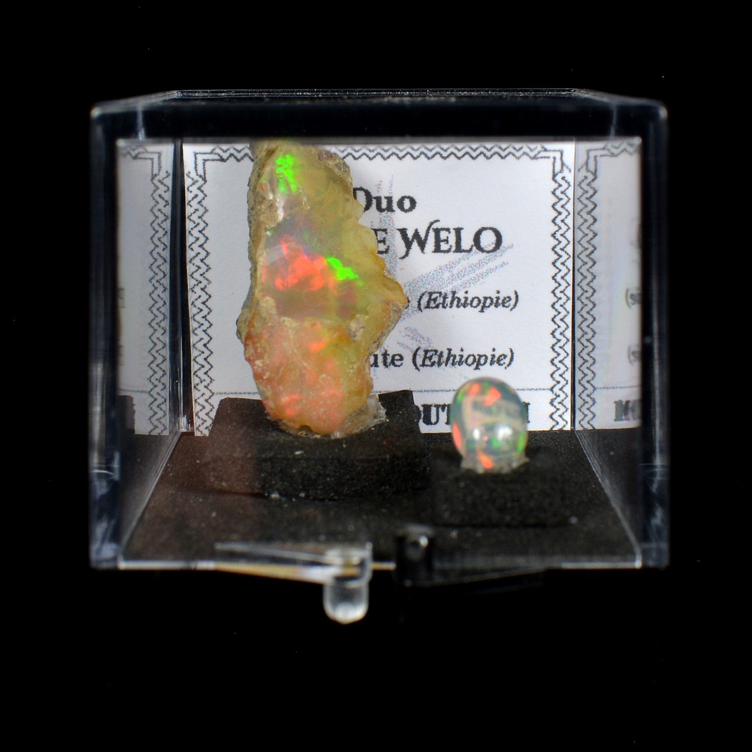 OPAL - DUO Cut Stone and Crystallized Stone OPAL - DUO Cut Stone and Crystallized Stone