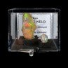 OPAL - DUO Cut Stone and Crystallized Stone OPAL - DUO Cut Stone and Crystallized Stone