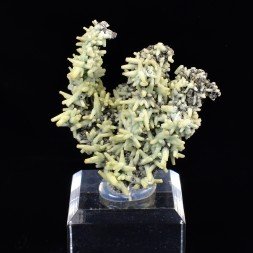 Plumbogummite psm après pyromorphite - Mine Yangshuo, Chine