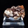 Wulfénite - Mine Erupcion, Los Lamentos, Mexique Wulfénite - Mine Erupcion, Los Lamentos, Mexique