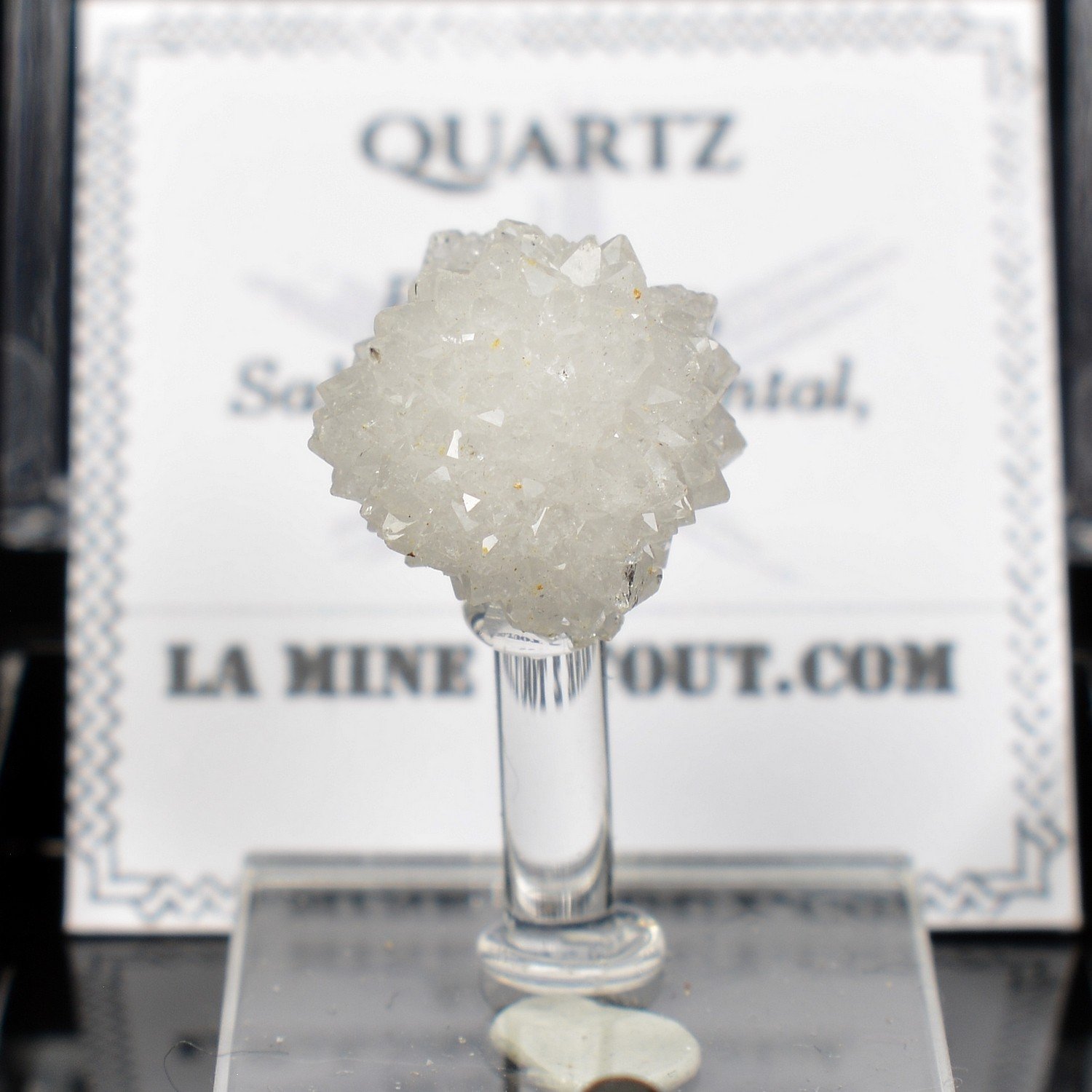 Quartz - Bou Craa, Western Sahara, Morocco