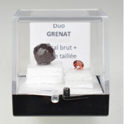GARNET - DUO Cut Stone and Crystallized Stone