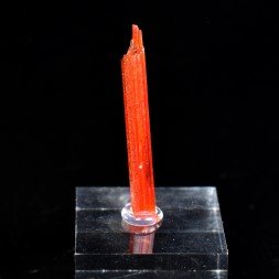 Crocoïte - Mine Red Lead, Tasmanie, Australie
