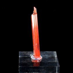 Crocoïte - Mine Red Lead, Tasmanie, Australie