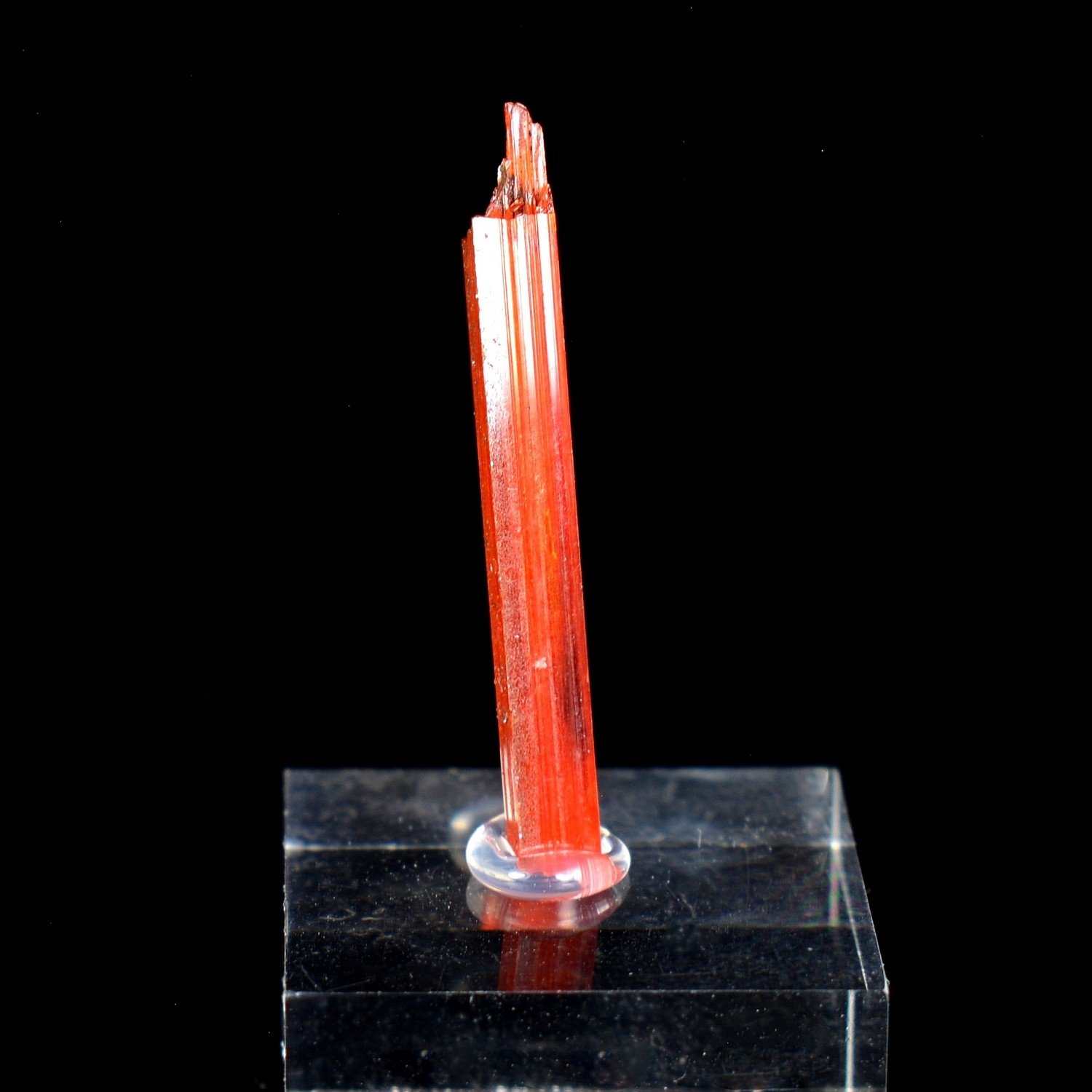 Crocoïte - Mine Red Lead, Tasmanie, Australie