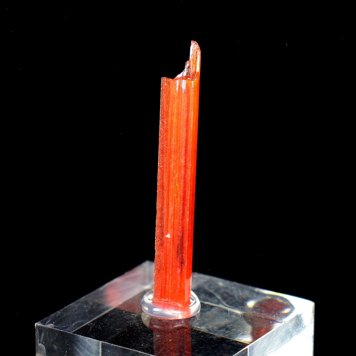 Crocoïte - Mine Red Lead, Tasmanie, Australie