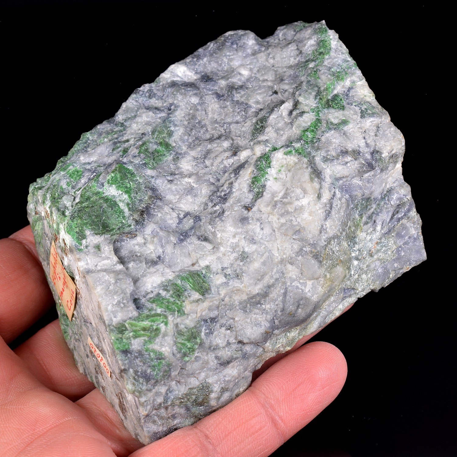 Euphotite with smaragdite - Orezza, Haute-Corse, France