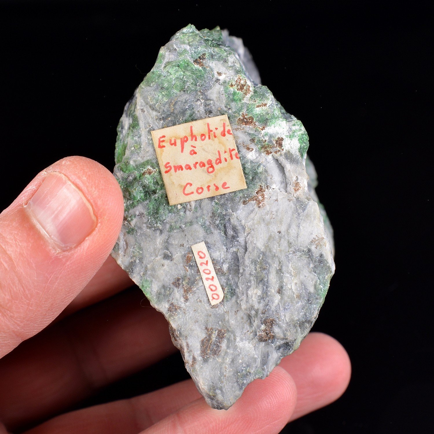 Euphotite with smaragdite - Orezza, Haute-Corse, France