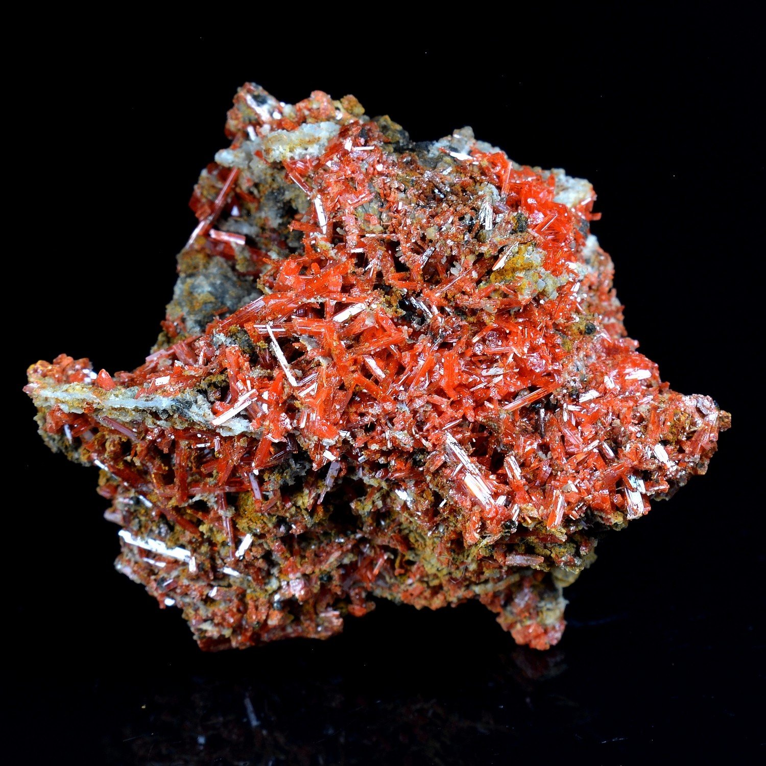 Crocoïte - Mine Red Lead, Tasmanie, Australie Crocoïte - Mine Red Lead, Tasmanie, Australie