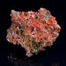 Crocoite - Red Lead Mine, Tasmania, Australia Crocoite - Red Lead Mine, Tasmania, Australia