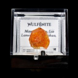 Wulfénite - Mine Erupcion, Los Lamentos, Mexique