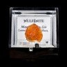 Wulfenite - Erupcion Mine, Los Lamentos, Mexico