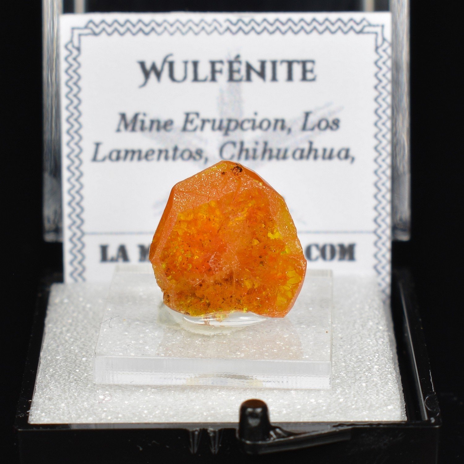 Wulfenite - Erupcion Mine, Los Lamentos, Mexico