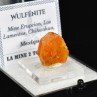 Wulfenite - Erupcion Mine, Los Lamentos, Mexico