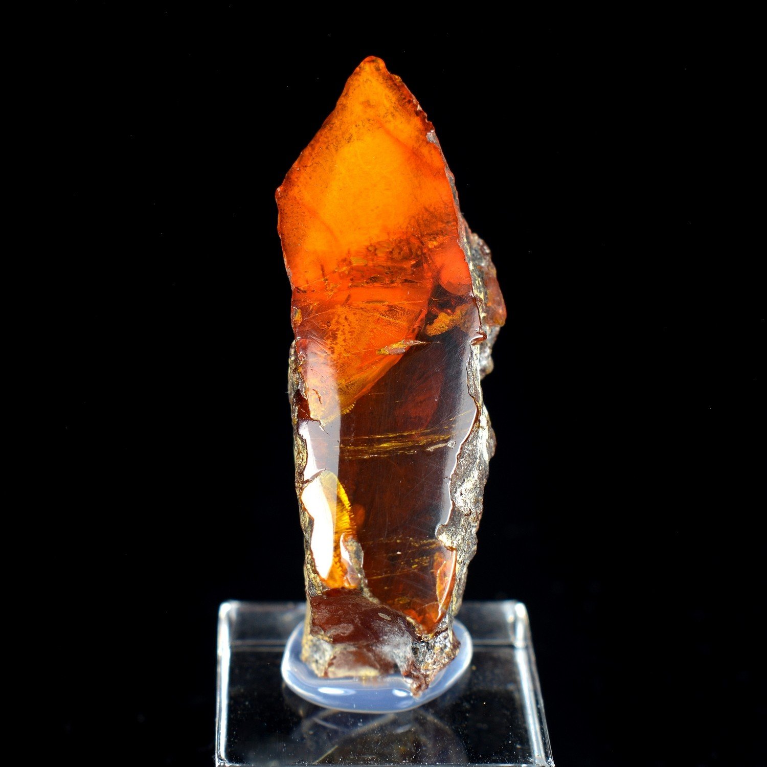 Amber - Chevrières, Oise, France