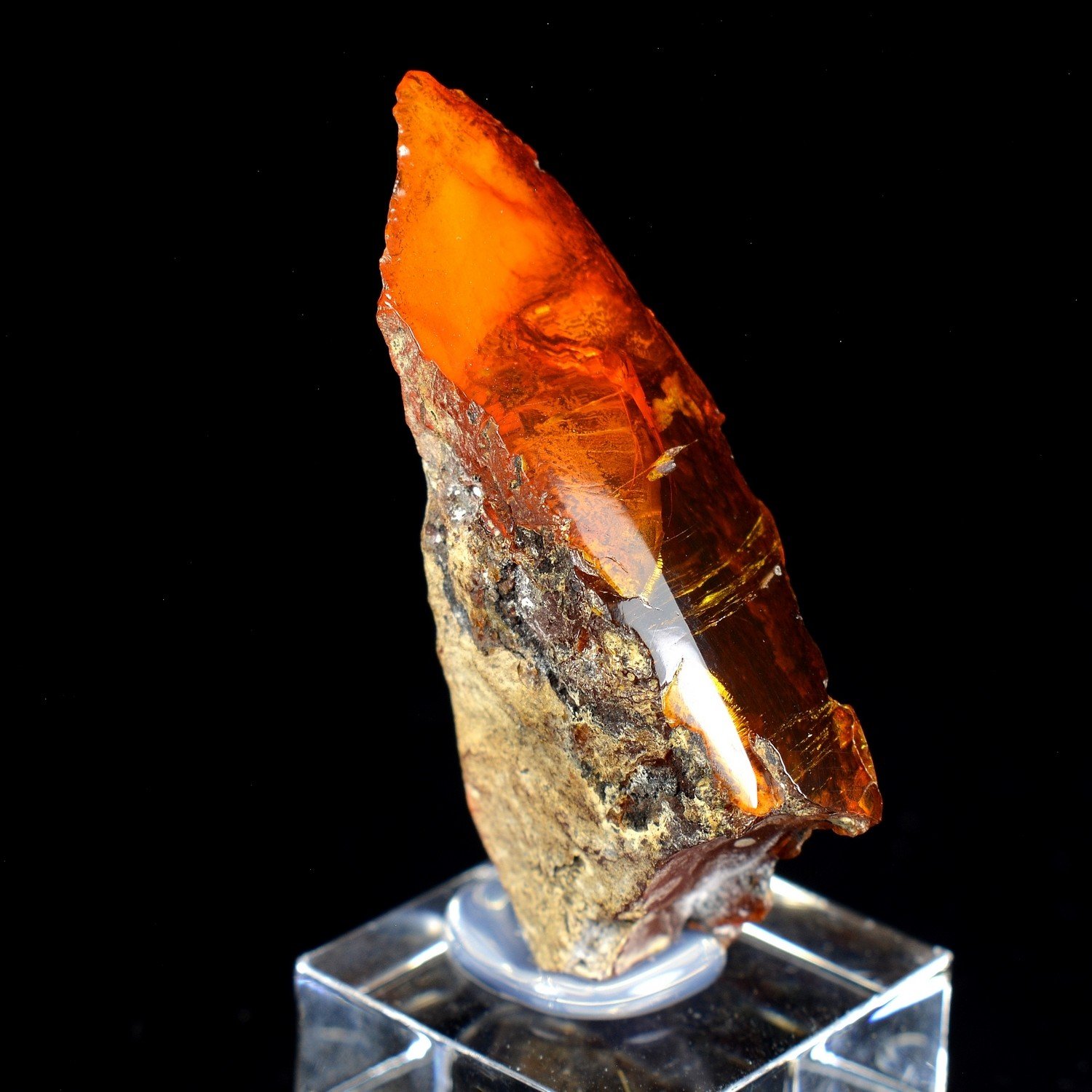 Amber - Chevrières, Oise, France