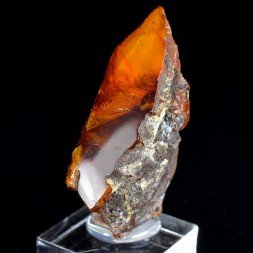 Amber - Chevrières, Oise, France
