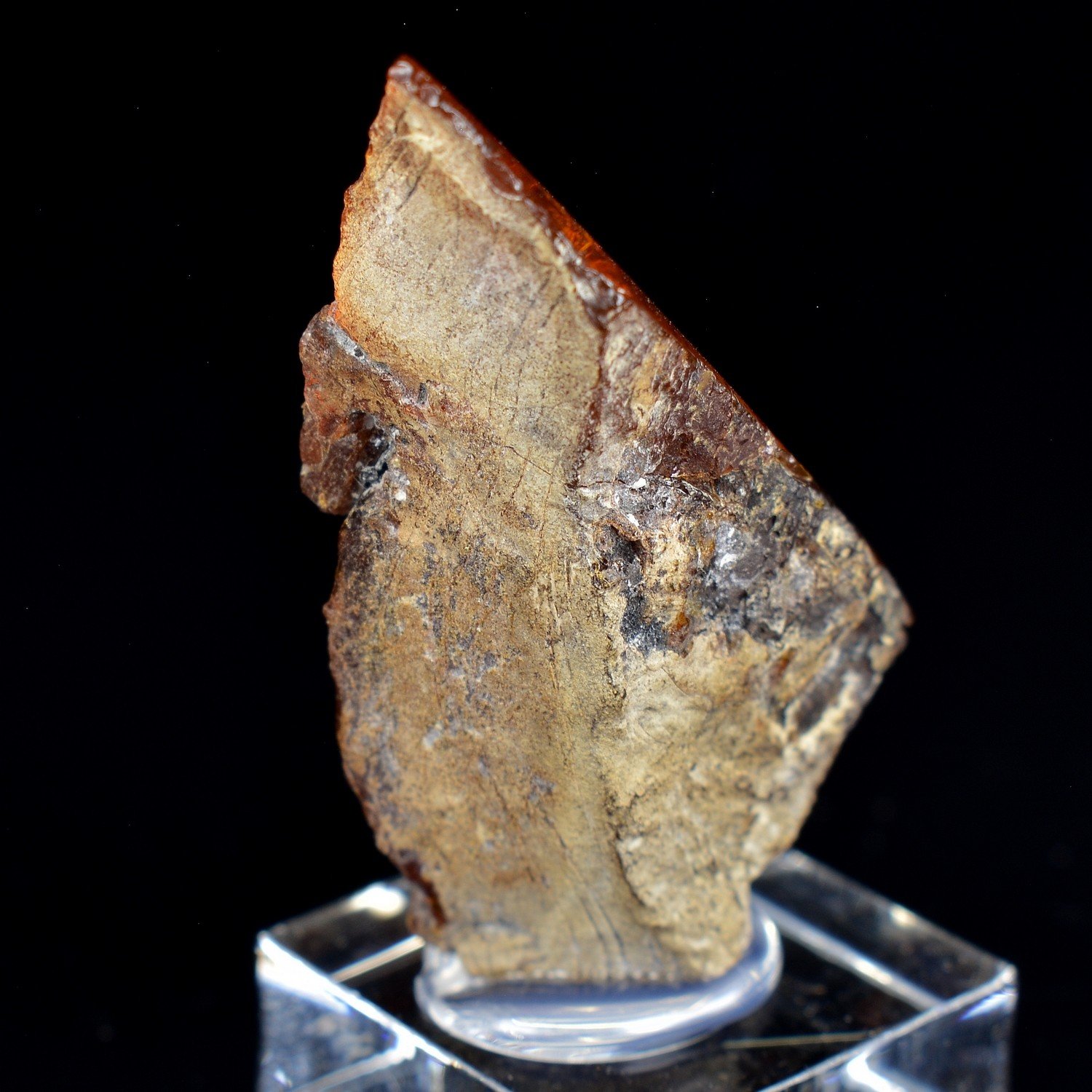 Amber - Chevrières, Oise, France