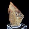 Amber - Chevrières, Oise, France